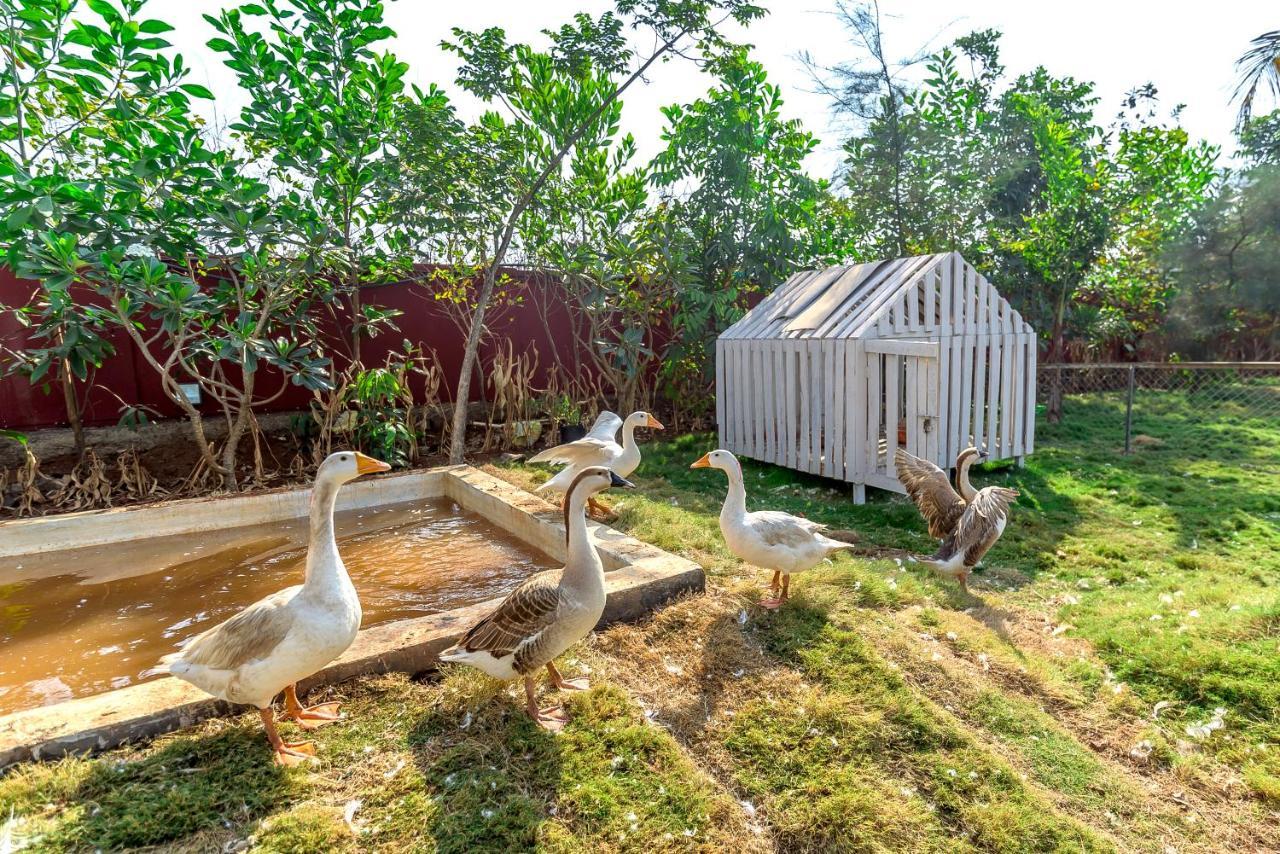 Saffronstays Palm Paradise, Kalyan Khadavli - Swimming Pool With Water Slides, Gazebo And Indoor Games Padghe Εξωτερικό φωτογραφία